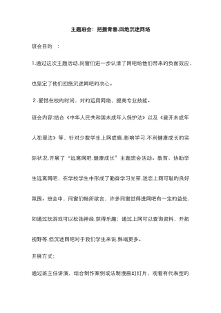 把握青春-拒绝沉迷网络主题班会