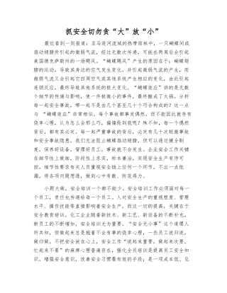 抓安全切勿贪“大”放“小”