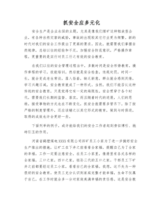 抓安全应多元化