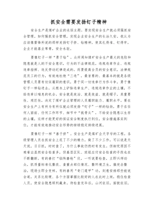 抓安全需要发扬钉子精神