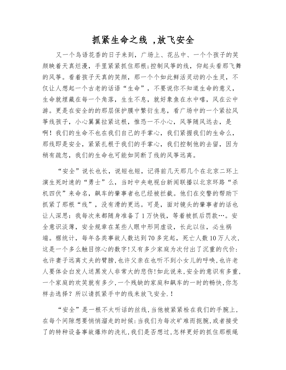 抓紧生命之线--放飞安全_第1页