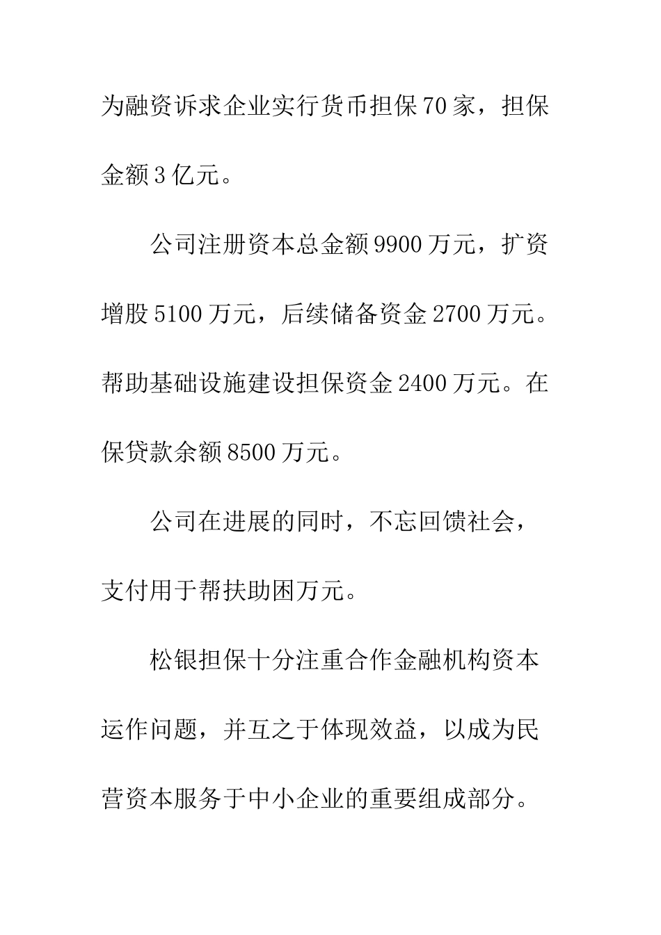 投资担保公司工作总结--精编范文_第2页