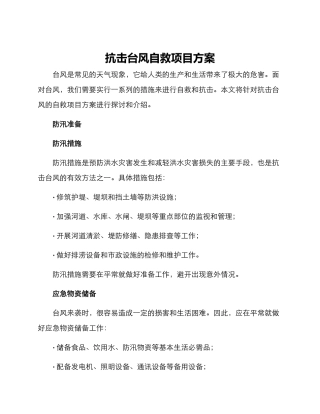 抗击台风自救项目方案