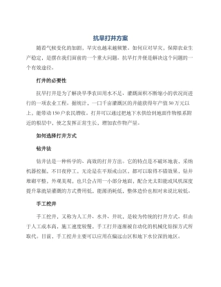 抗旱打井方案