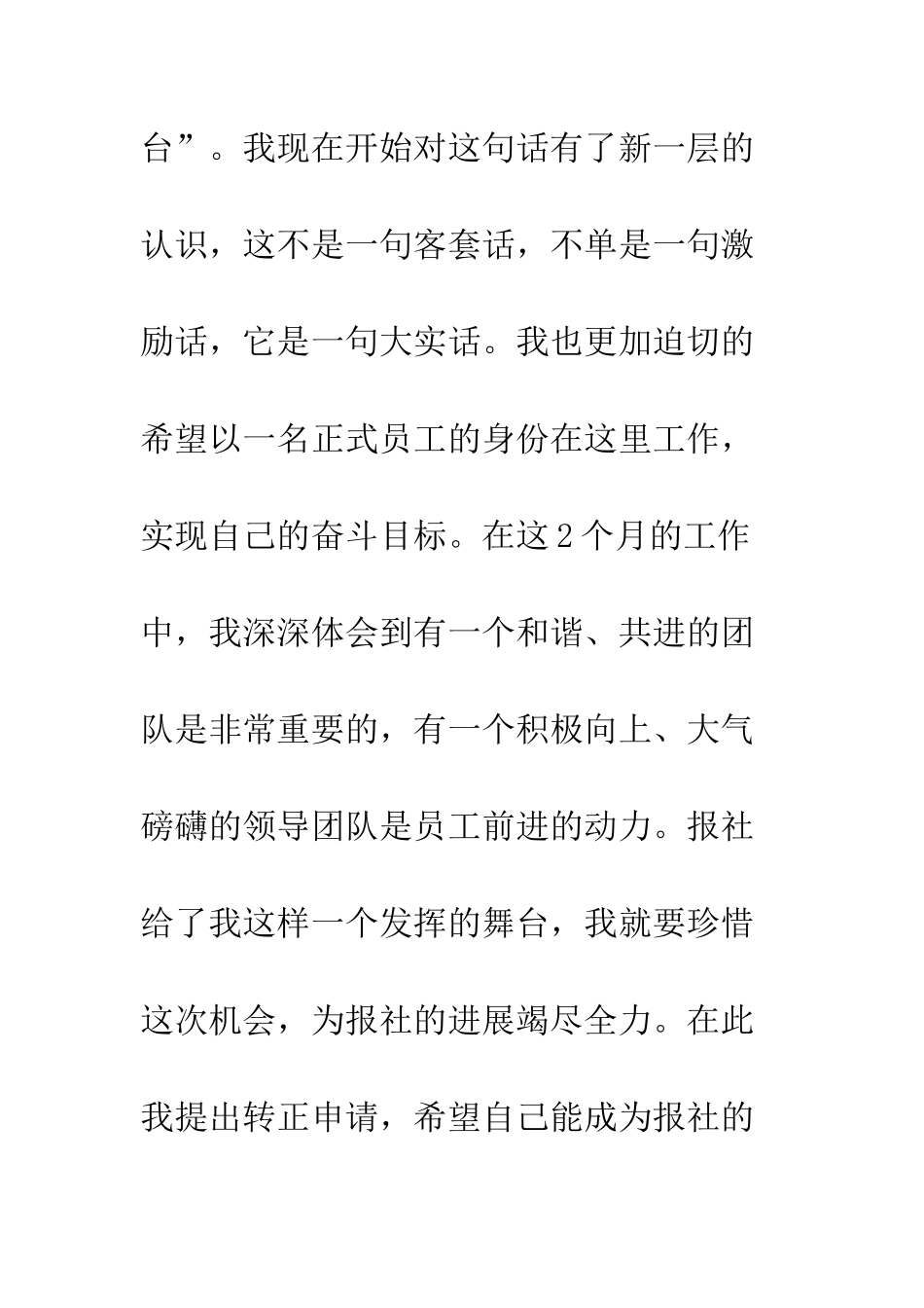 报社转正工作总结--精编范文_第3页