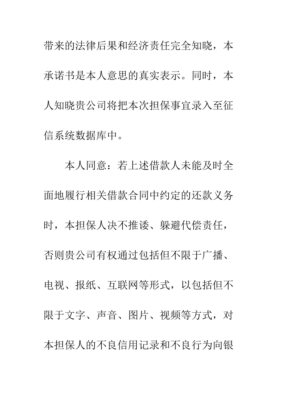 担保人承诺书样本--精编范文_第2页