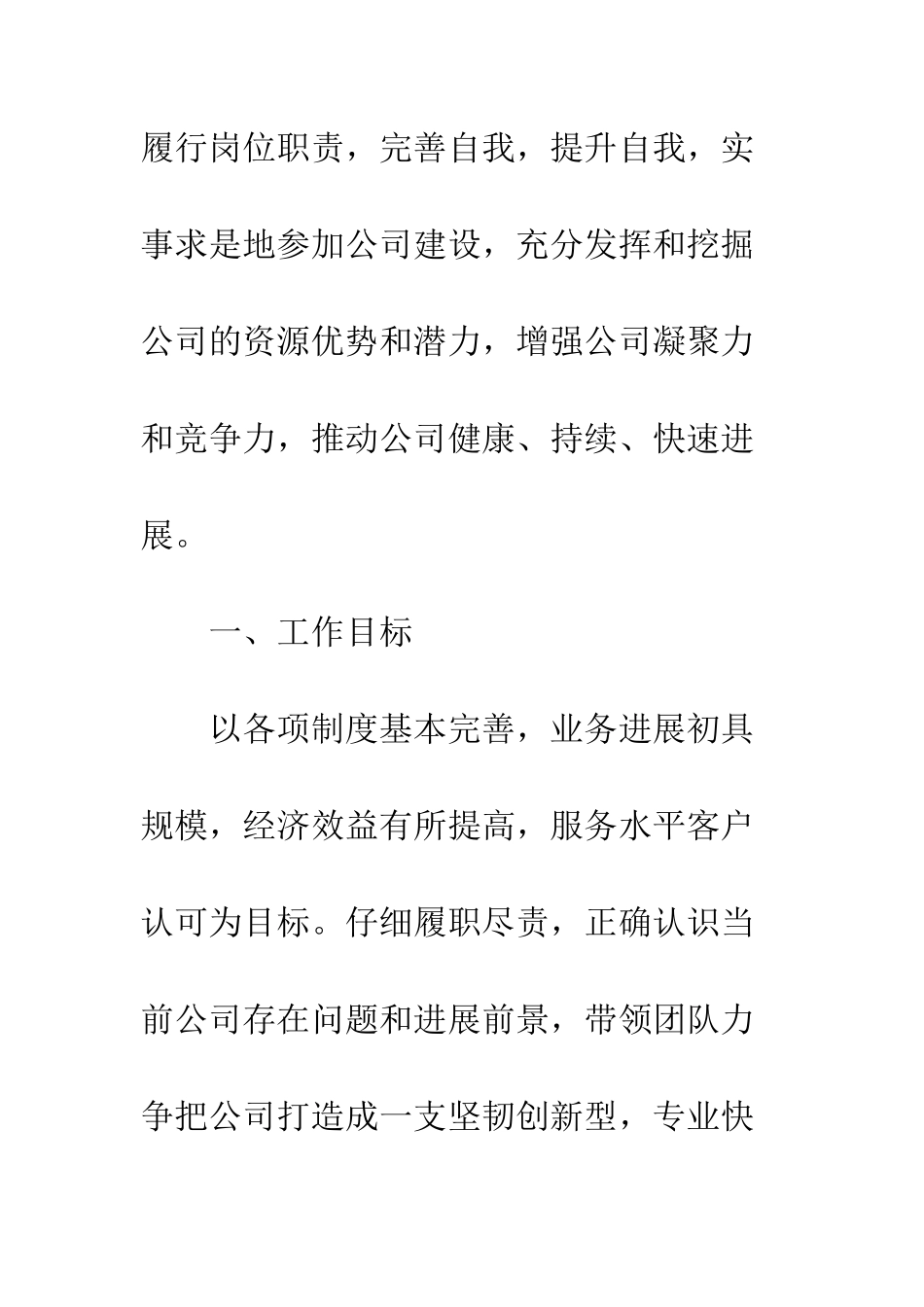 担保公司工作计划范文3篇--精编范文_第2页