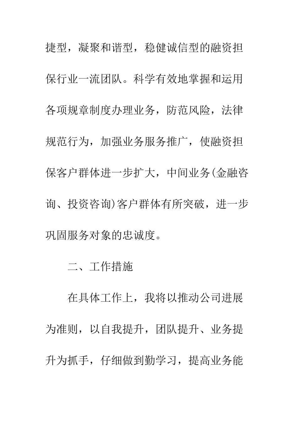 担保公司工作计划范文3篇--精编范文_第3页