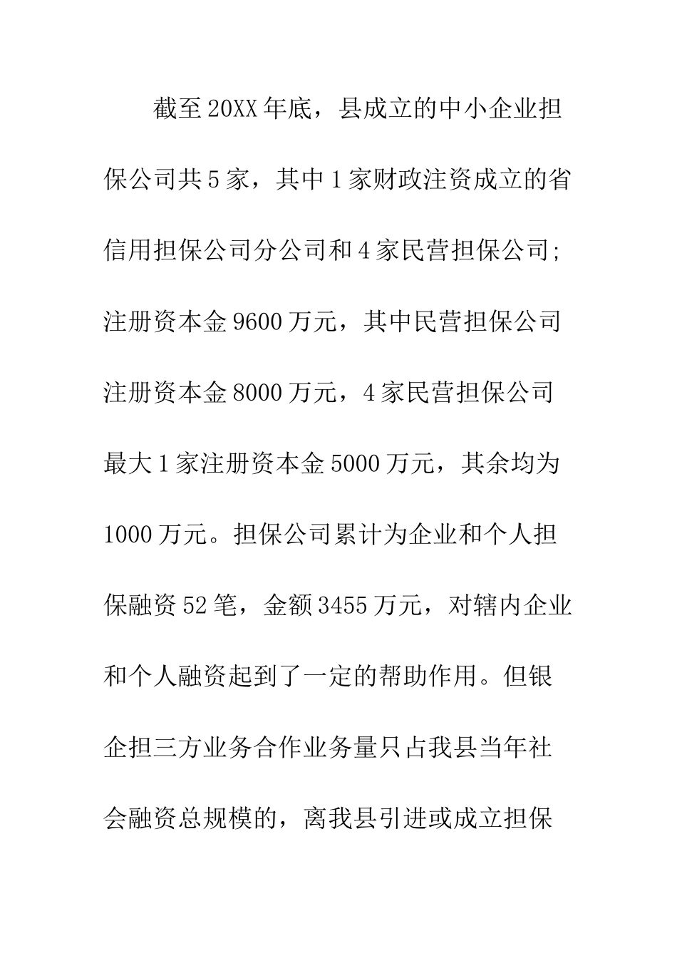 担保调查报告范本--精编范文_第3页