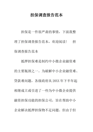 担保调查报告范本--精编范文