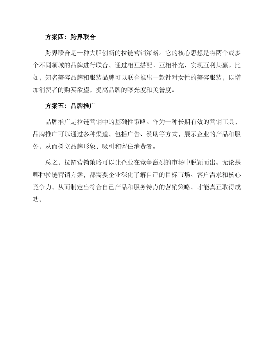 拉链营销方案_第2页