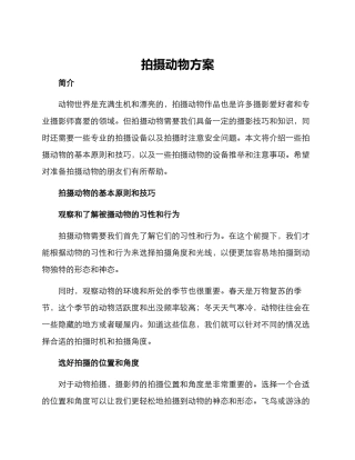 拍摄动物方案