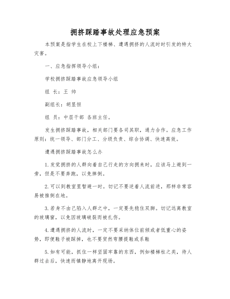 拥挤踩踏事故处理应急预案_第1页