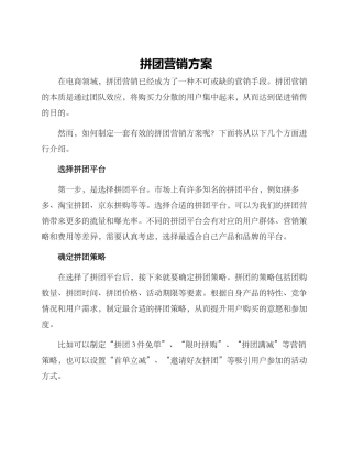 拼团营销方案