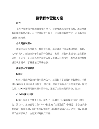 拼装积木营销方案