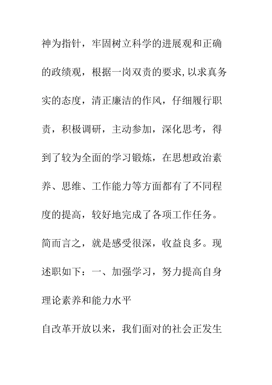 挂职副县长述职述廉报告--精编范文_第2页
