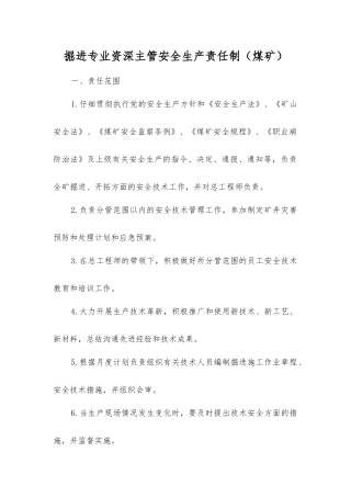 掘进专业资深主管安全生产责任制