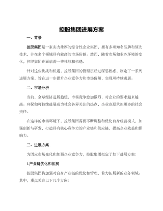 控股集团发展方案