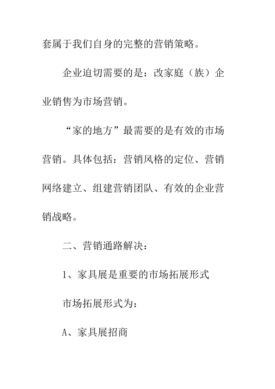 推广策划书范文--精编范文_第2页