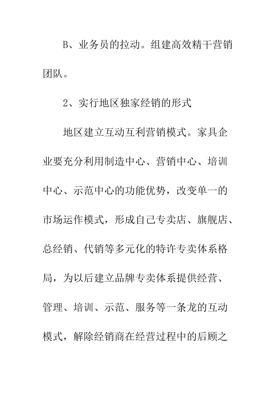 推广策划书范文--精编范文_第3页