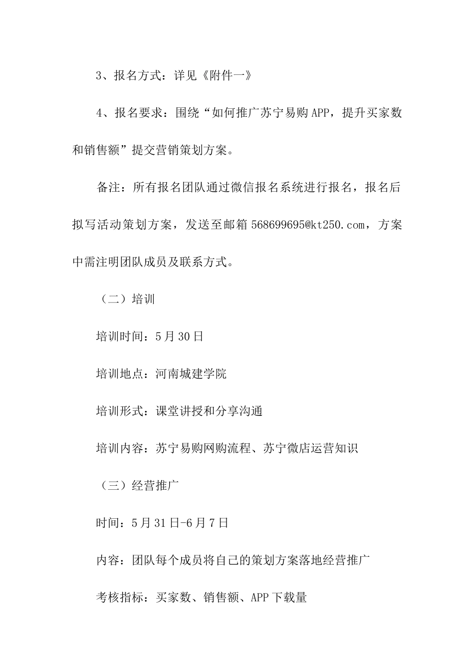 推广策划书模板_第3页