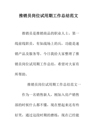 推销员岗位试用期工作总结范文--精编范文