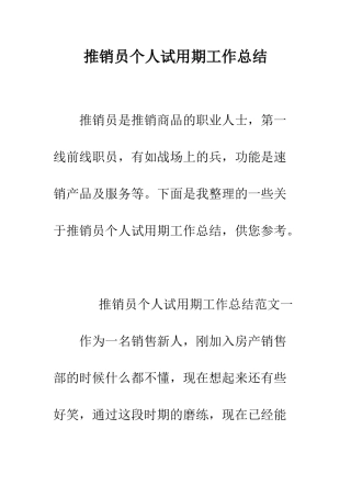 推销员个人试用期工作总结--精编范文