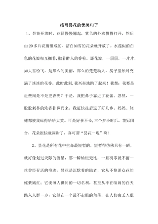 描写昙花的优美句子