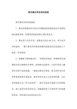 描写熏衣草优美的段落