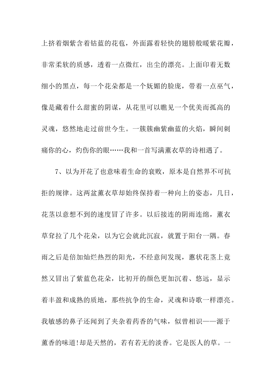 描写薰衣草的优美句子大全_第3页