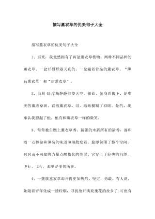 描写薰衣草的优美句子大全