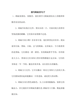 描写蚂蚁的句子