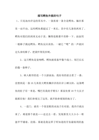 描写鳄鱼外貌的句子