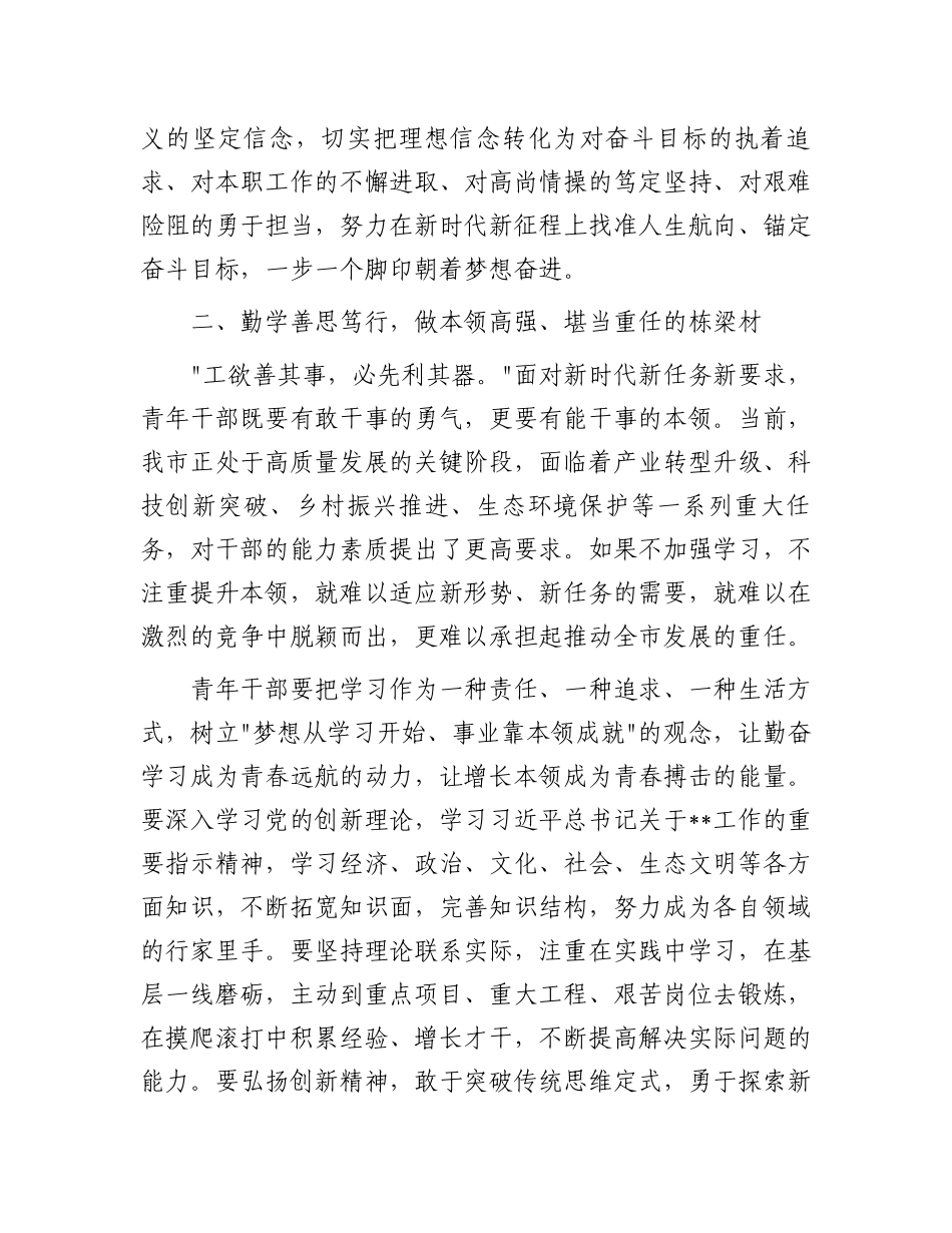 在2025年五四青年节青年干部座谈会上的讲话_第3页