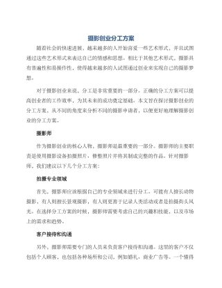 摄影创业分工方案