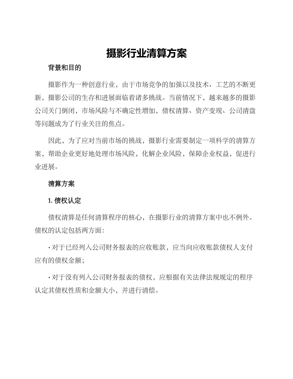 摄影行业清算方案_第1页