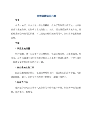 撂荒复耕实施方案