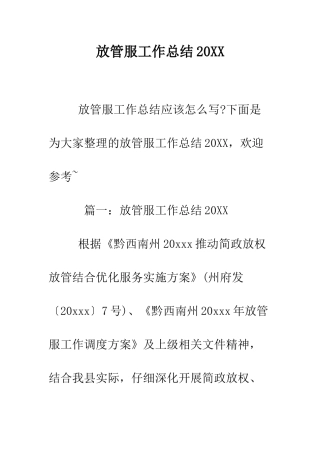 放管服工作总结2025--精编范文