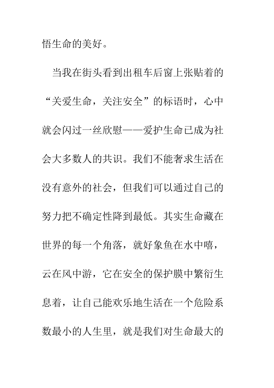 放飞安全-把握生命--精编范文_第2页