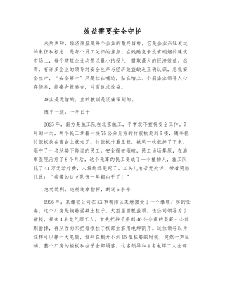 效益需要安全守护