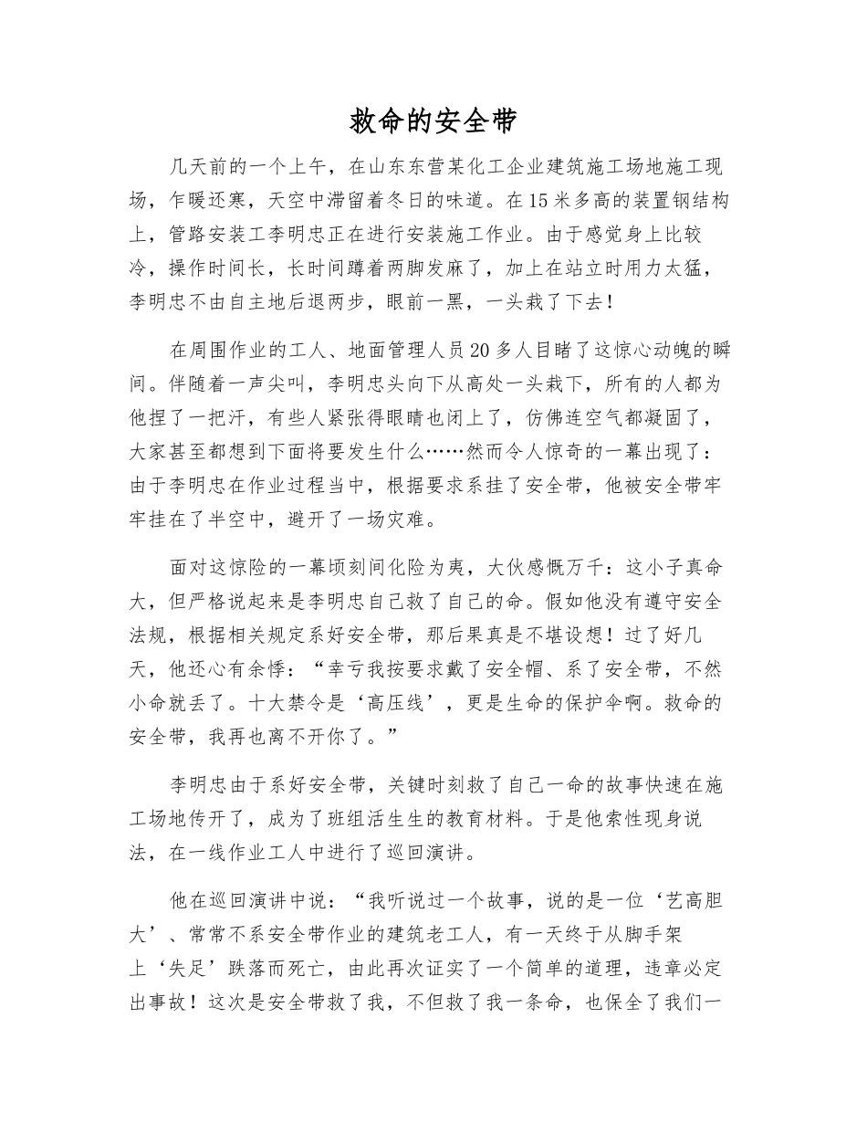 救命的安全带_第1页