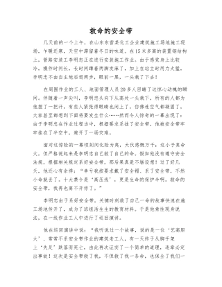 救命的安全带