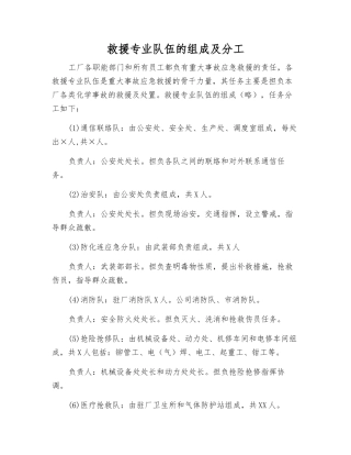 救援专业队伍的组成及分工