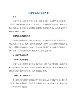 救援现场实战演练方案