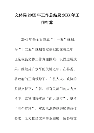 文体局2025年工作总结及2025年工作打算--精编范文