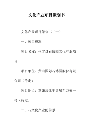 文化产业项目策划书--精编范文