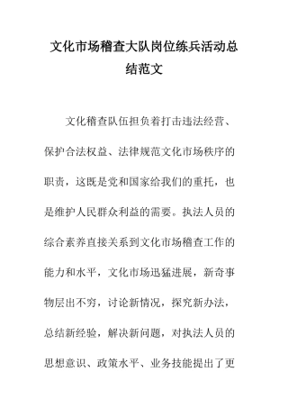 文化市场稽查大队岗位练兵活动总结范文--精编范文