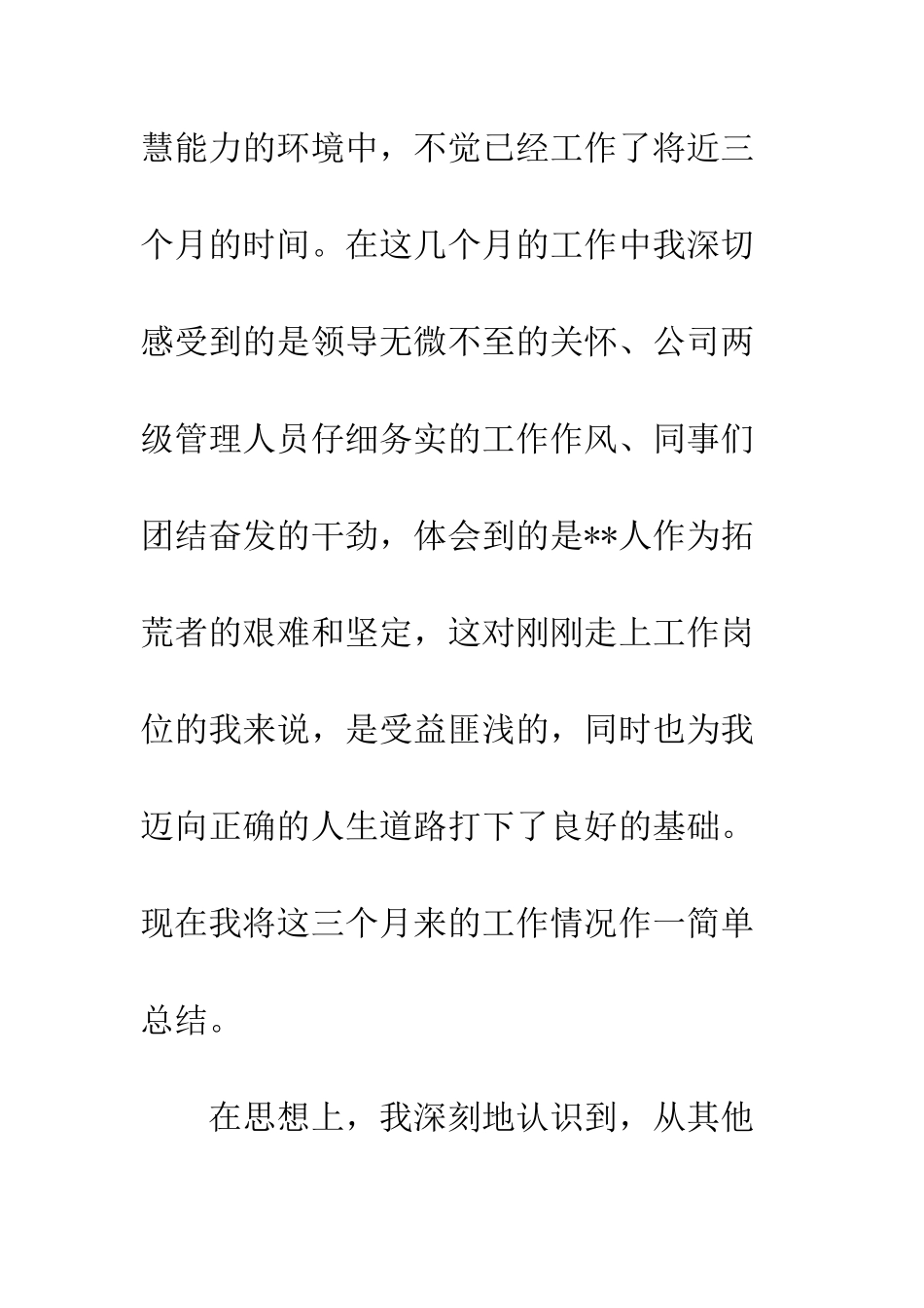 文员试用期工作总结范文--精编范文_第2页