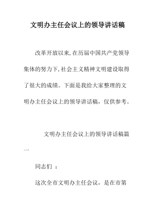 文明办主任会议上的领导讲话稿--精编范文