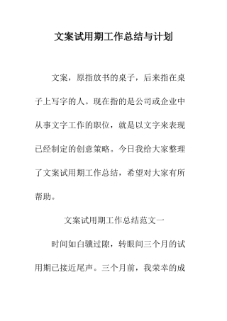文案试用期工作总结与计划--精编范文